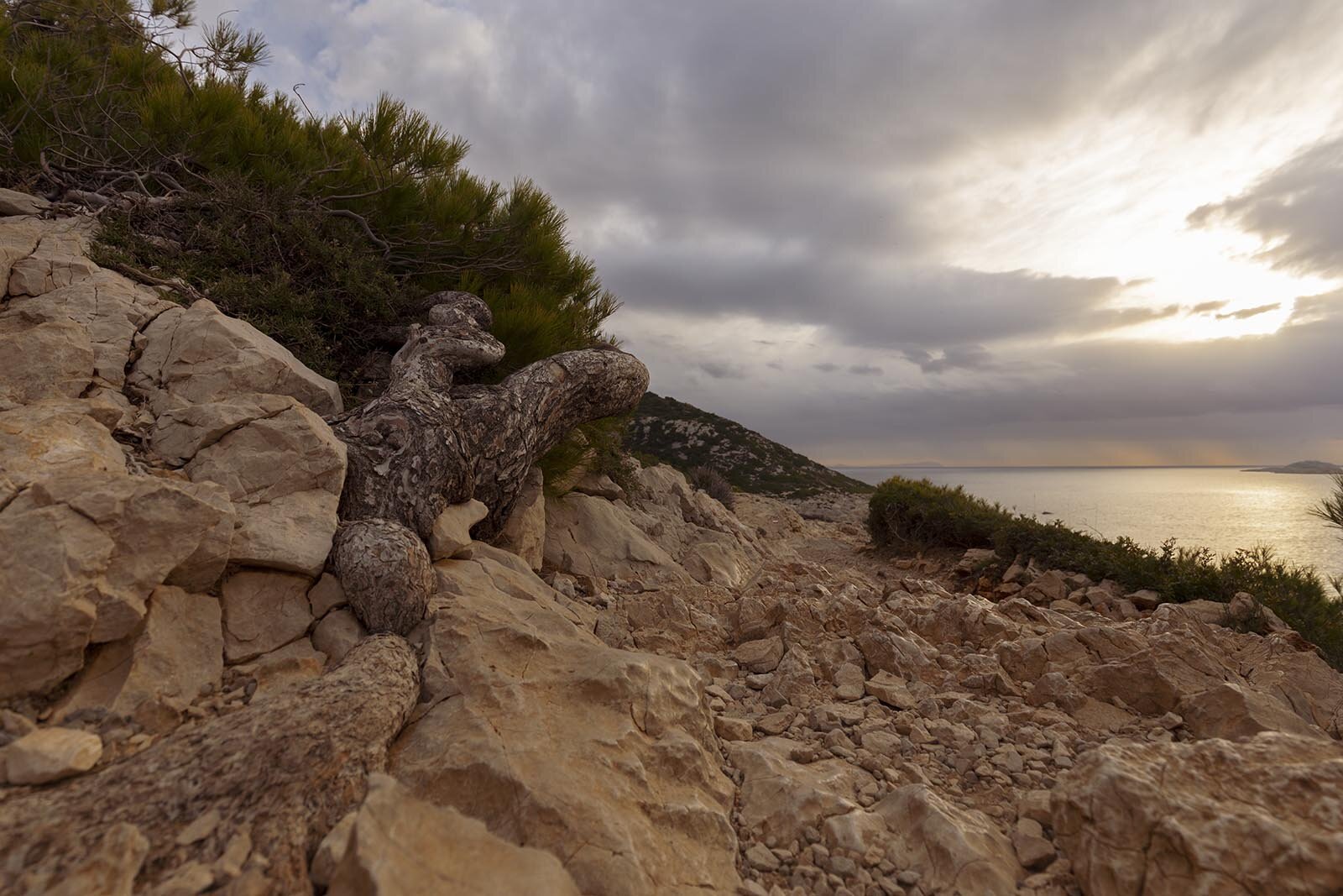 les-calanques-010419-085540-ld.jpg