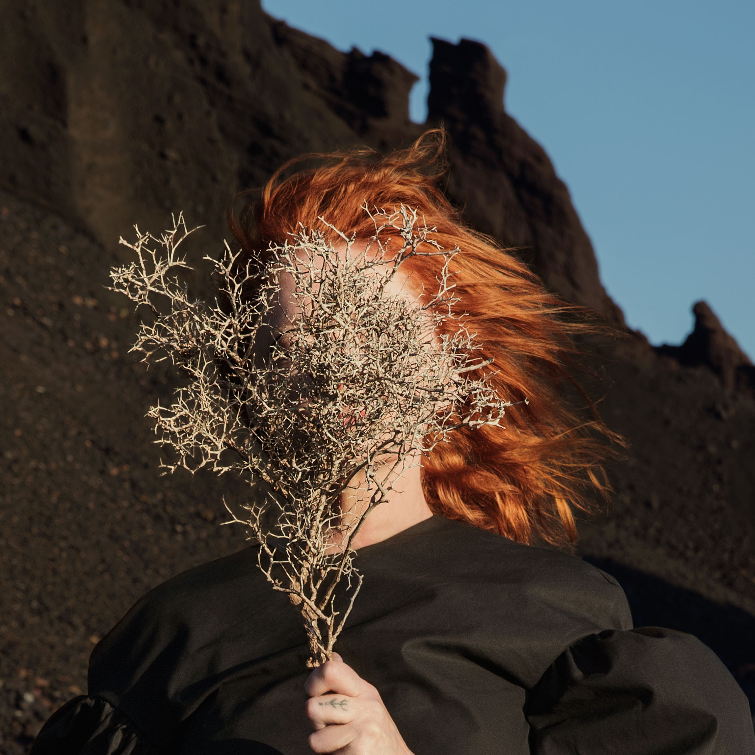 Goldfrapp - Silver Eye Additional Production