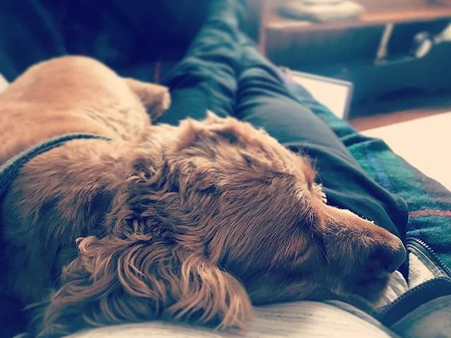 Charlie