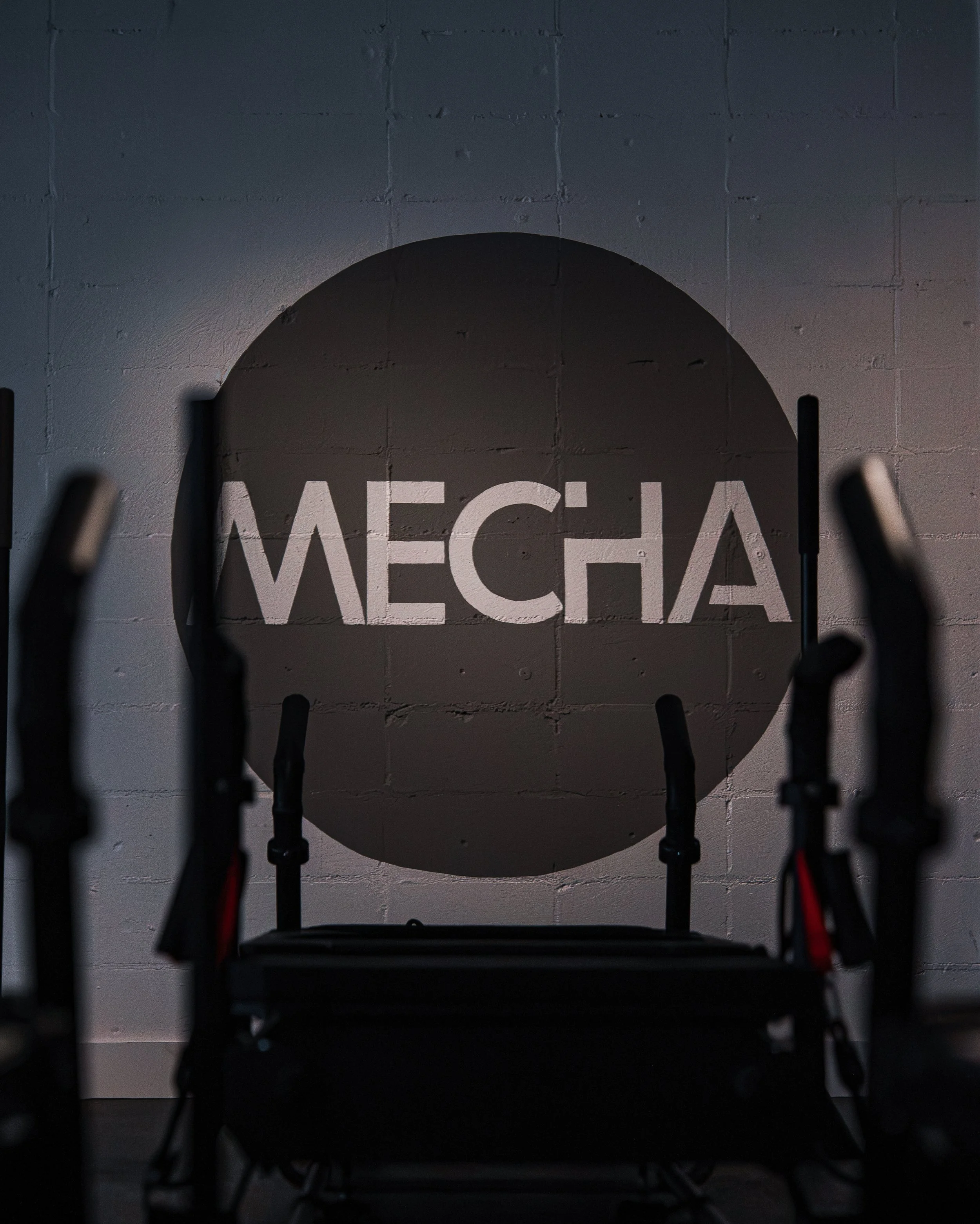 MechaDSC01078.jpg