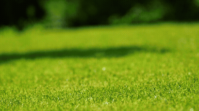 Sprinkler_827774309.gif