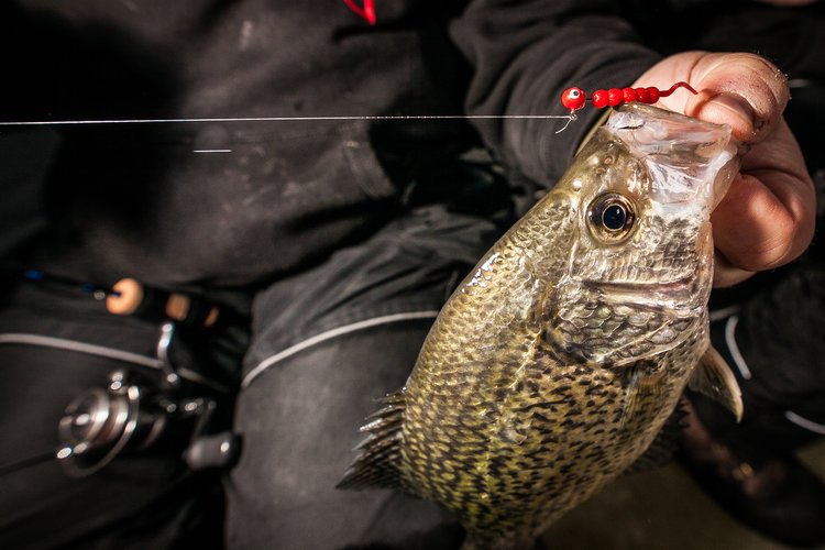 Late Ice Crappies - Where to Look? — Joel Nelson Outdoors