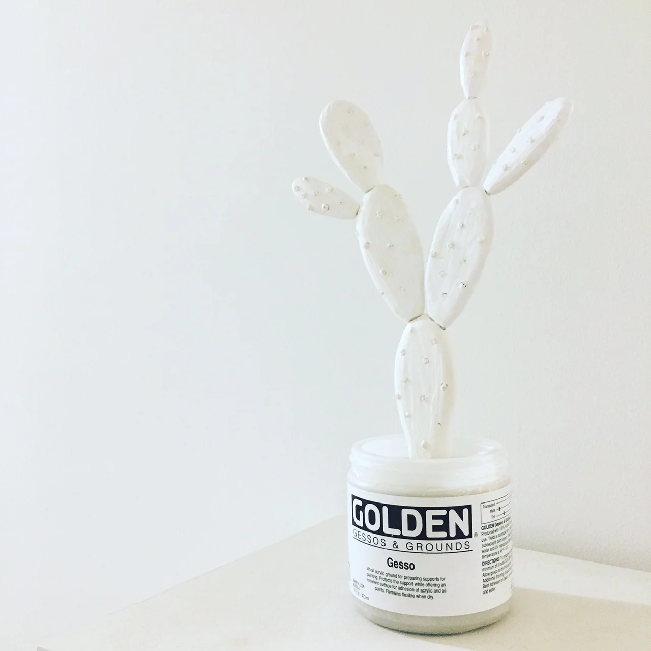 Golden Cactus, 2017