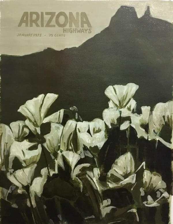 Malpais, Drab Dark Brown, 2017