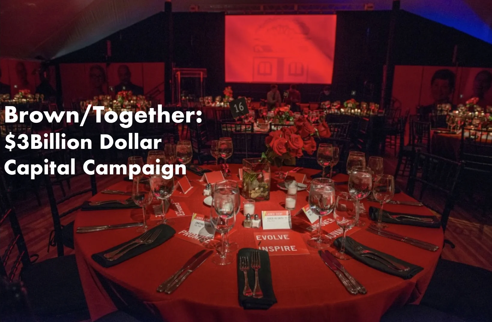 campaignimages.002.jpeg
