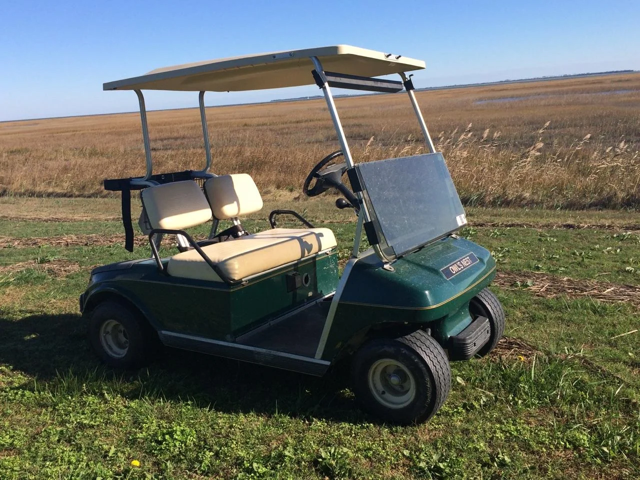 Golf Cart Rentals