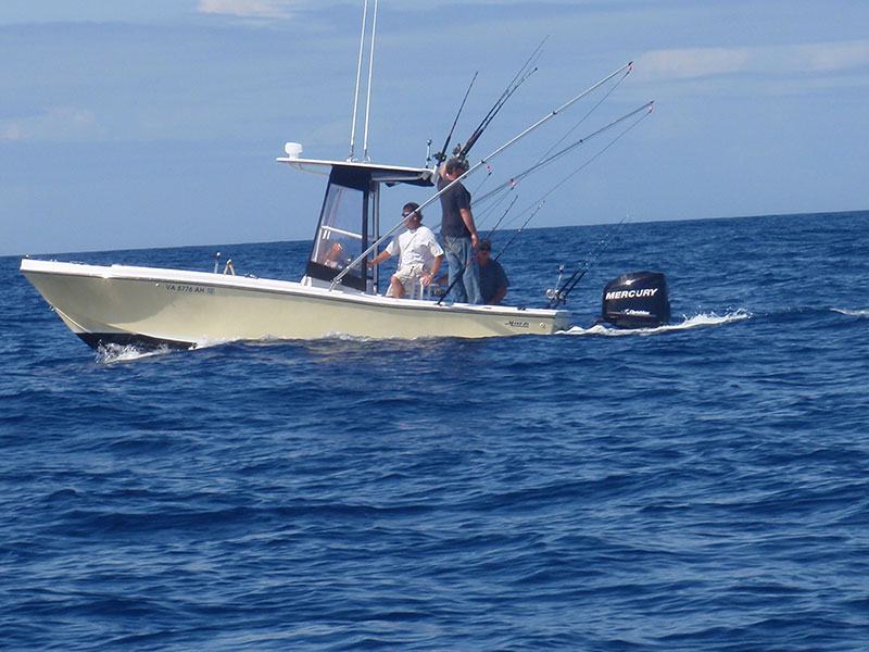 Contact — Wachapreague Inn