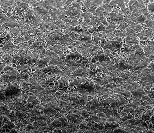 Electron microscope view of RustOleum Never Wet Spray