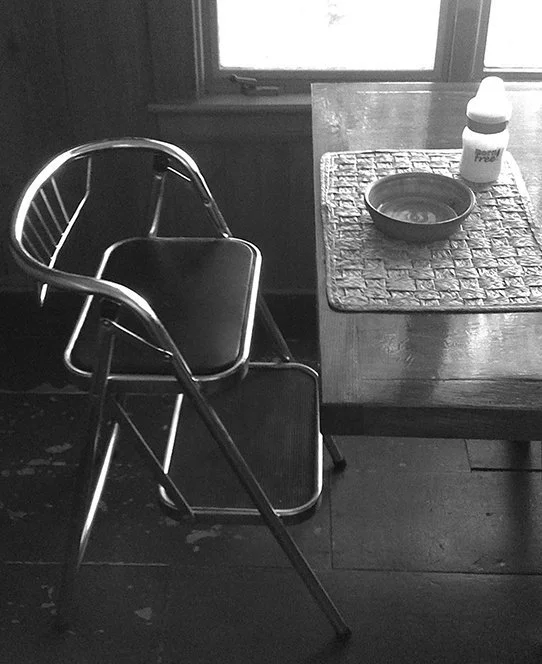 Step+stool+highchair+copy.jpg