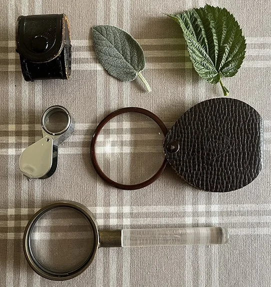 Loupe2.jpg