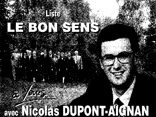 1995 - 2012 : les campagnes électorales de Nicolas Dupont-Aignan 