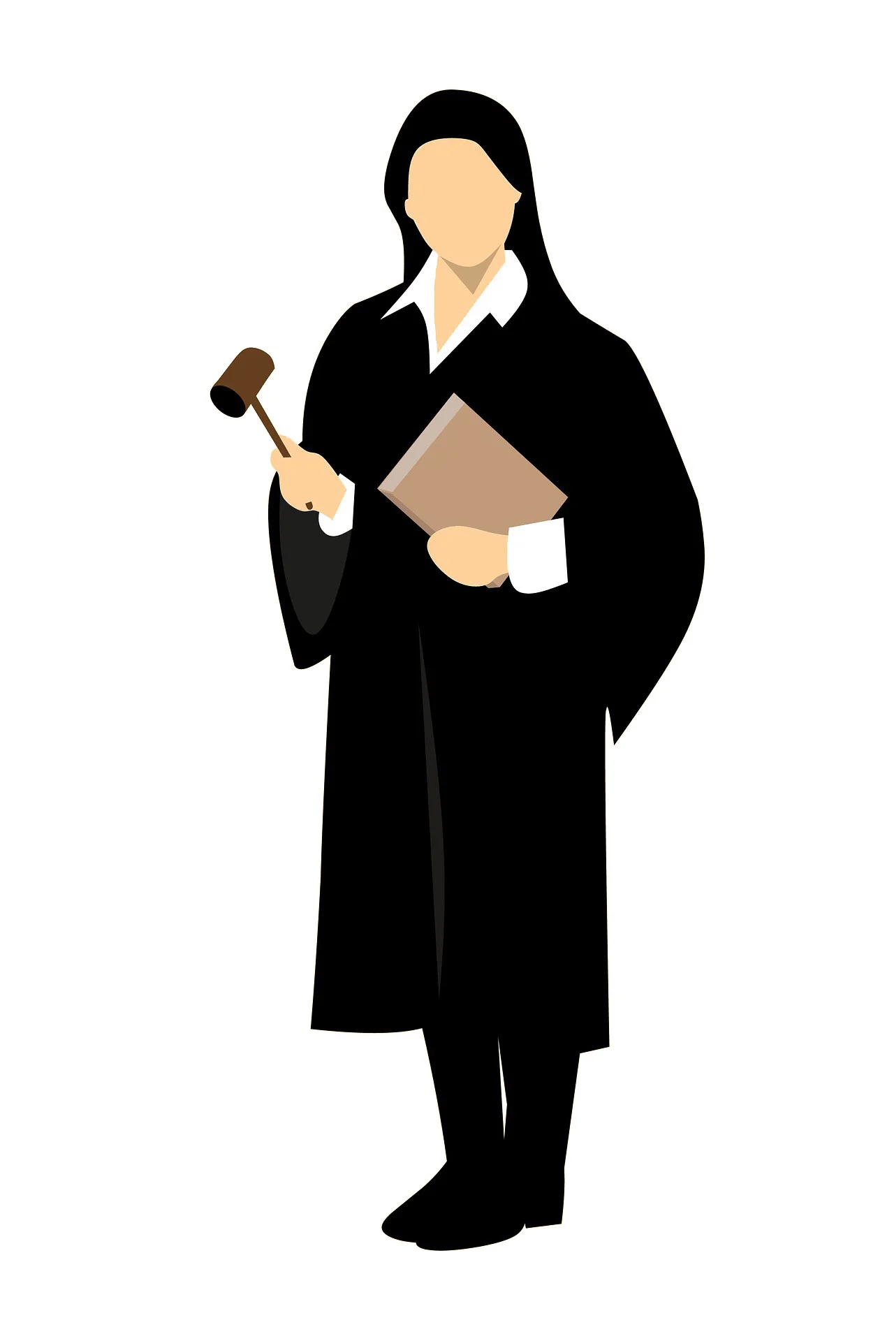 Juge illustration.jpg
