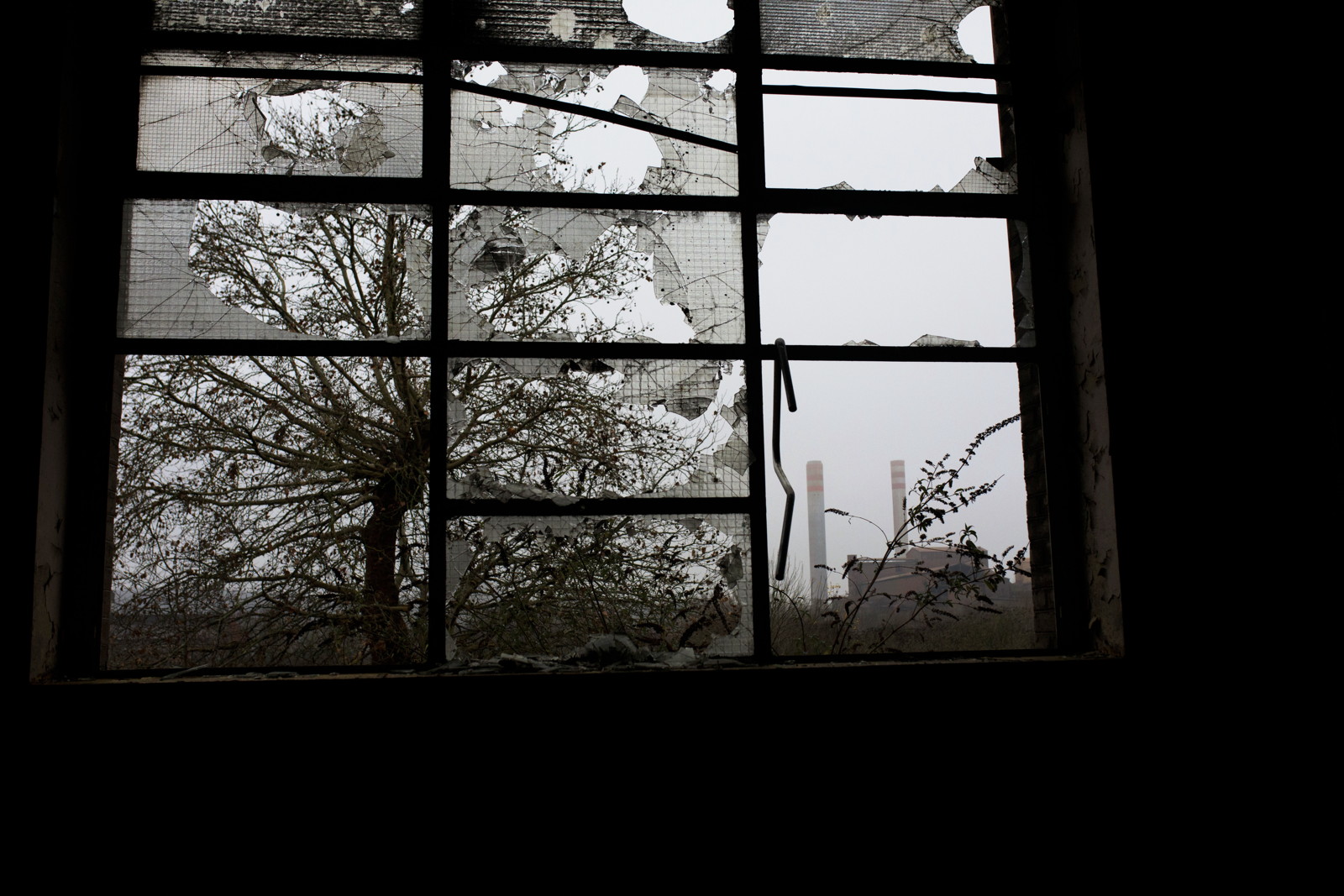 Intérieur d’une friche à Rombas. Crédits photo : Laura Wojcik