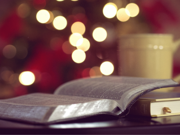 La sélection des livres de Noël 