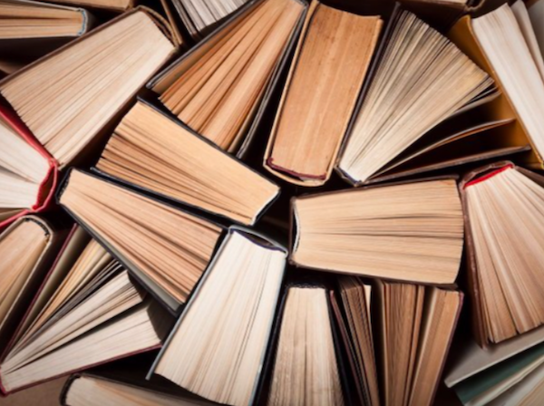 Les livres politiques du mois de février