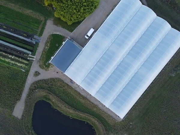 Alexia Rey : "J’ai la grande chance d’avoir un double diplôme Sciences Po-Maraîchage !"