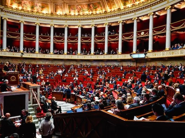 Collaborateurs parlementaires : entre engagement institutionnel et protestation radicale