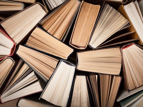 Les livres politiques de juin 2024