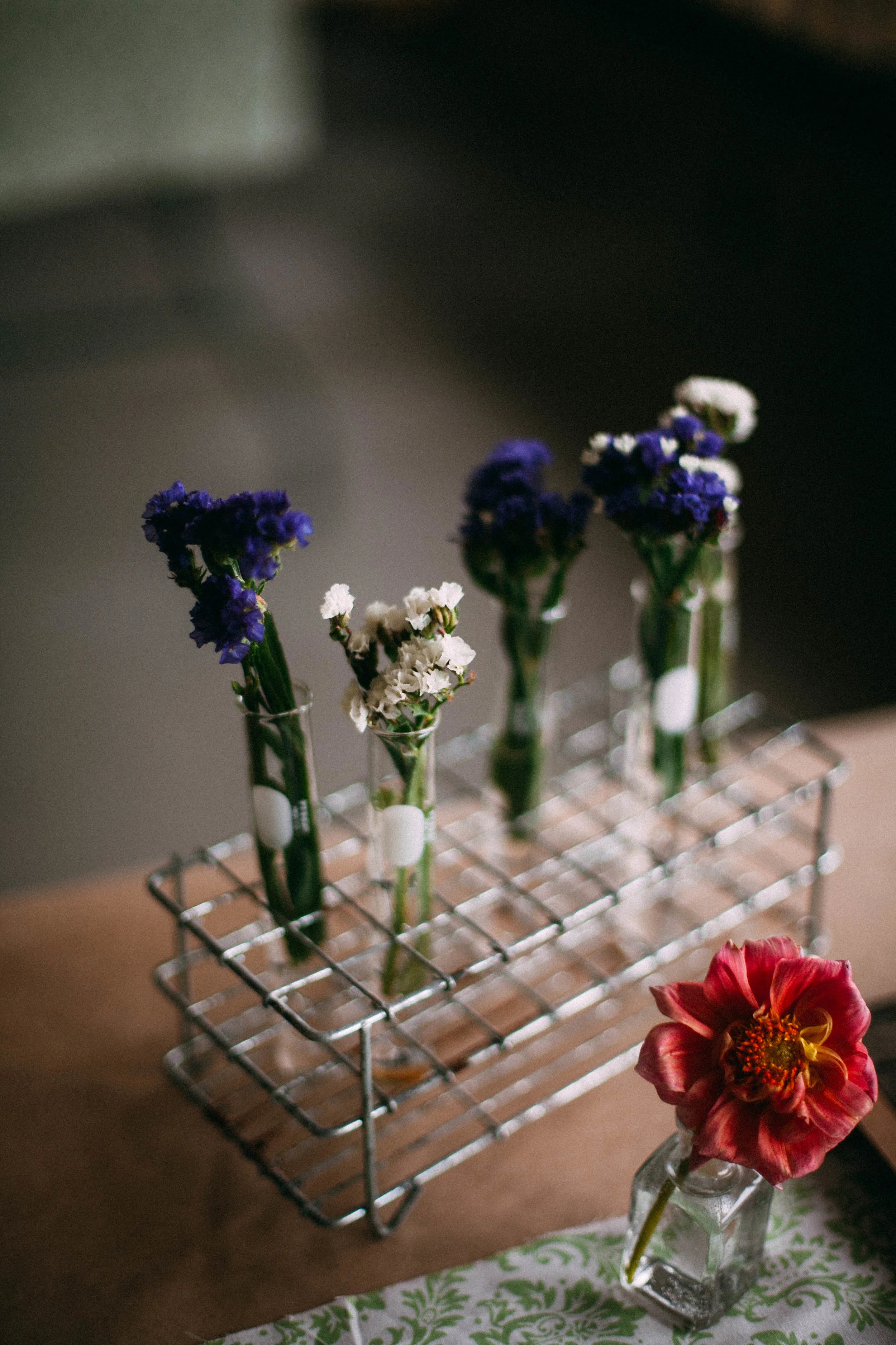 alentzphoto (107)