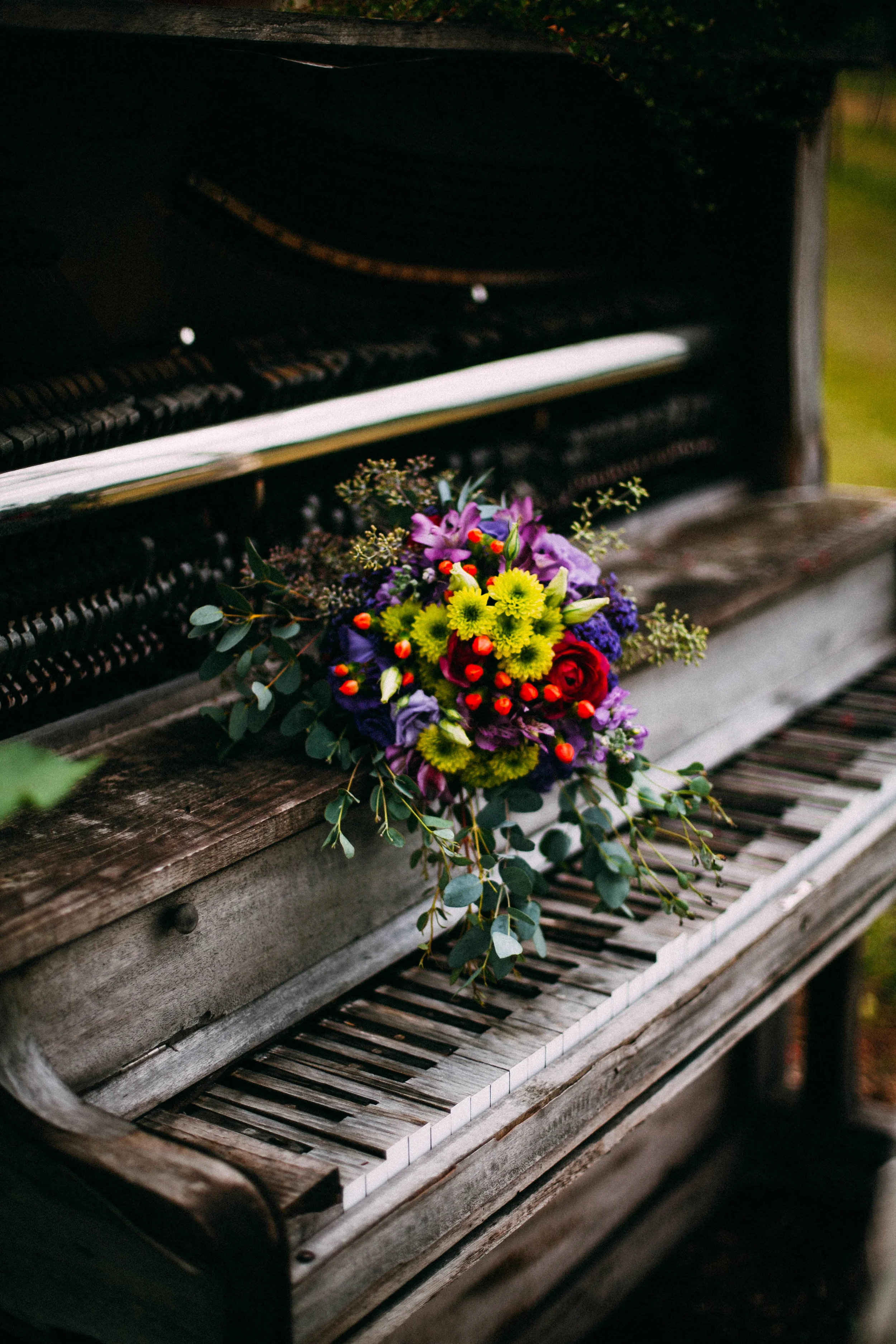 alentzphoto (333)