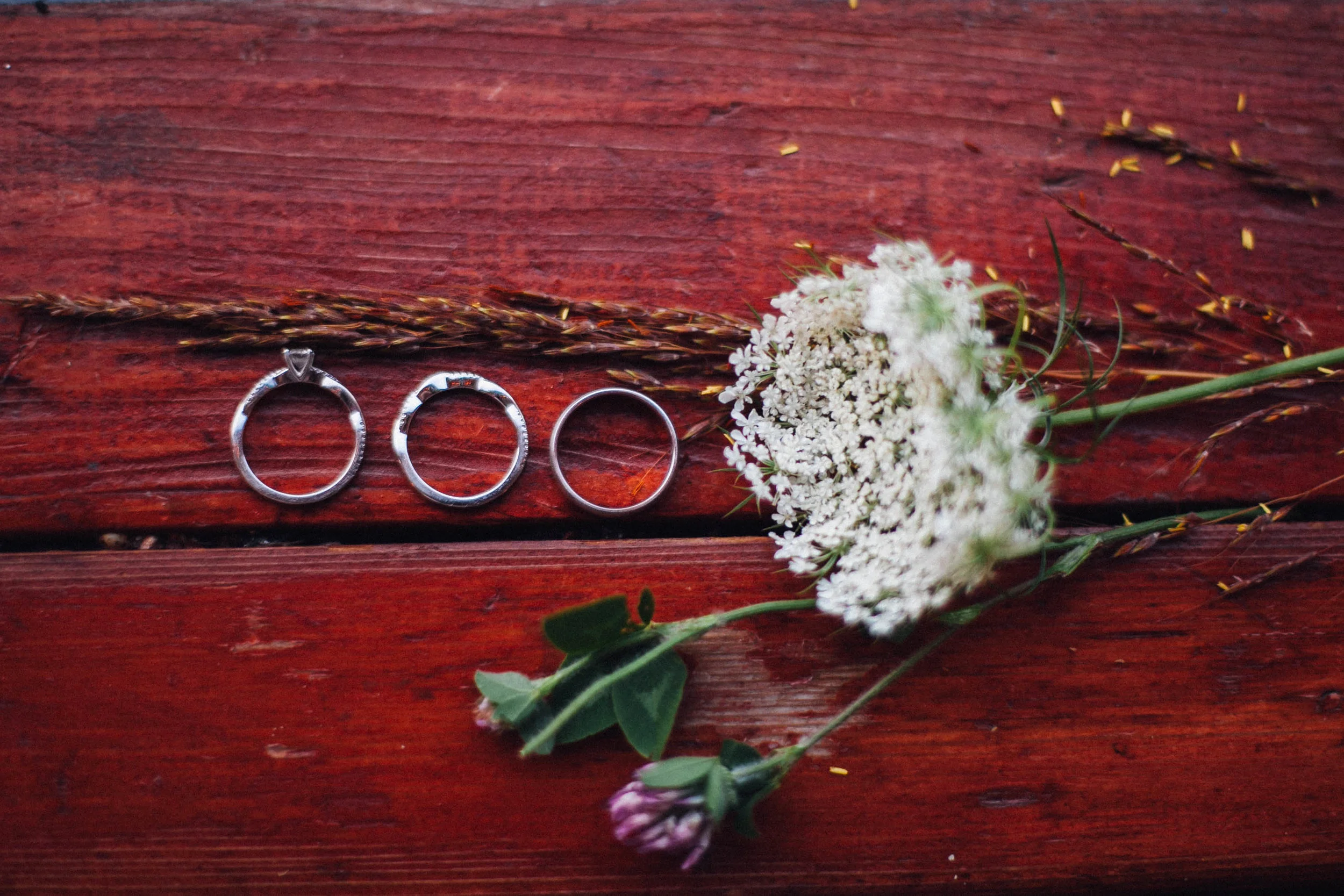 alentzphoto (474)