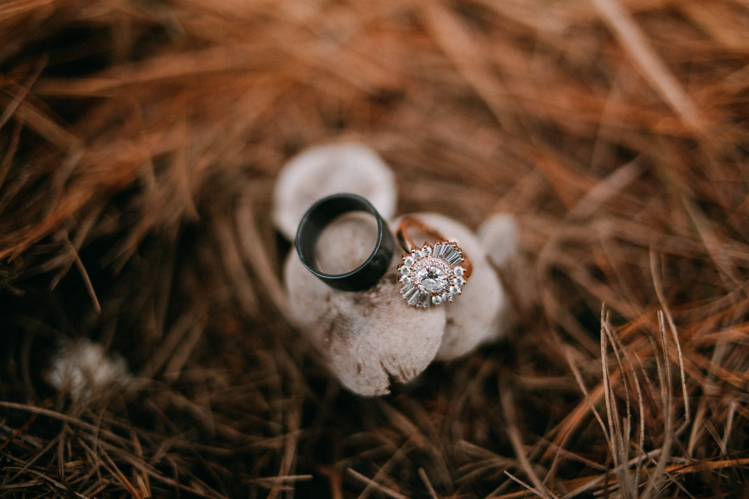 alentzphoto-85.jpg