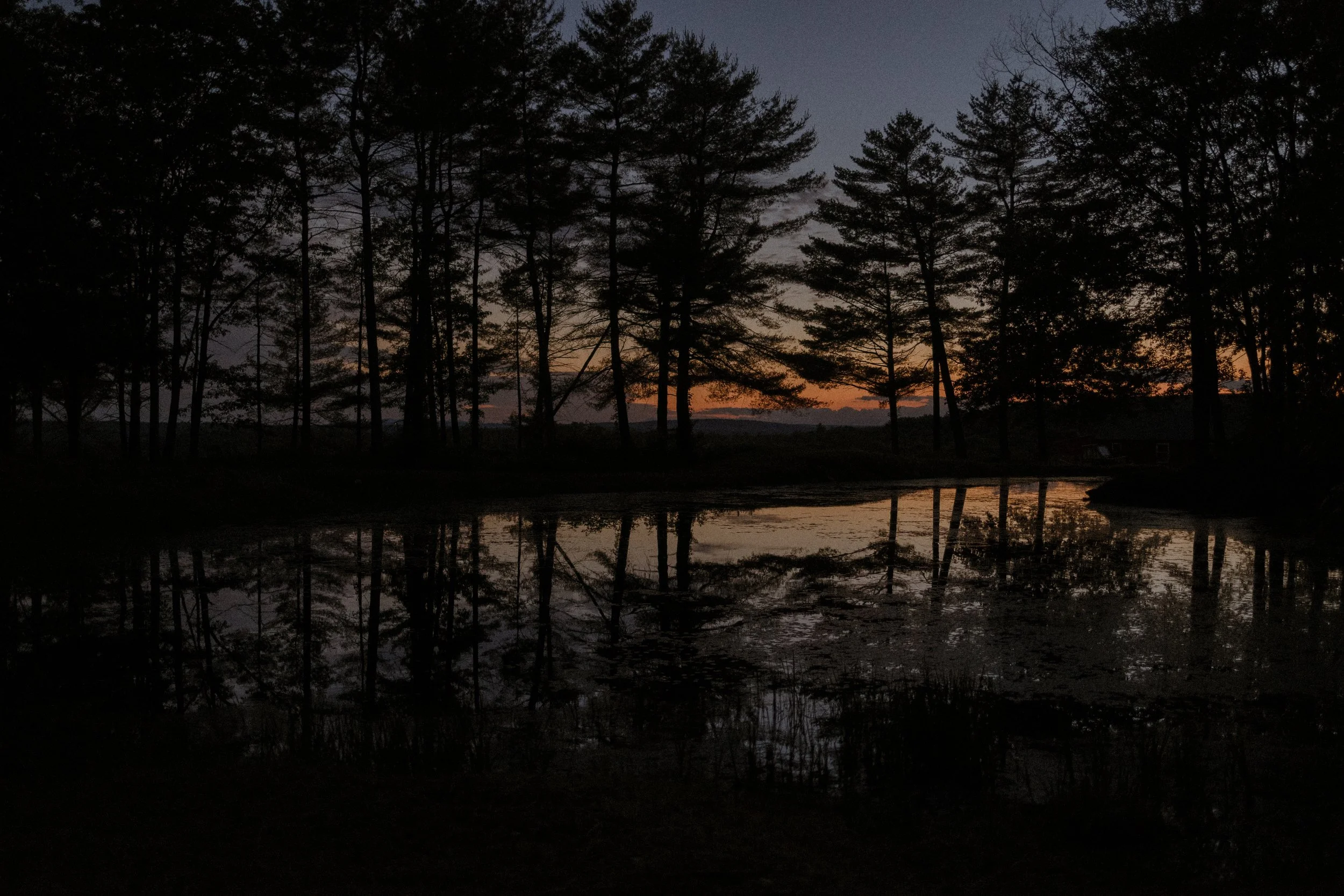 alentzphoto-53.jpg