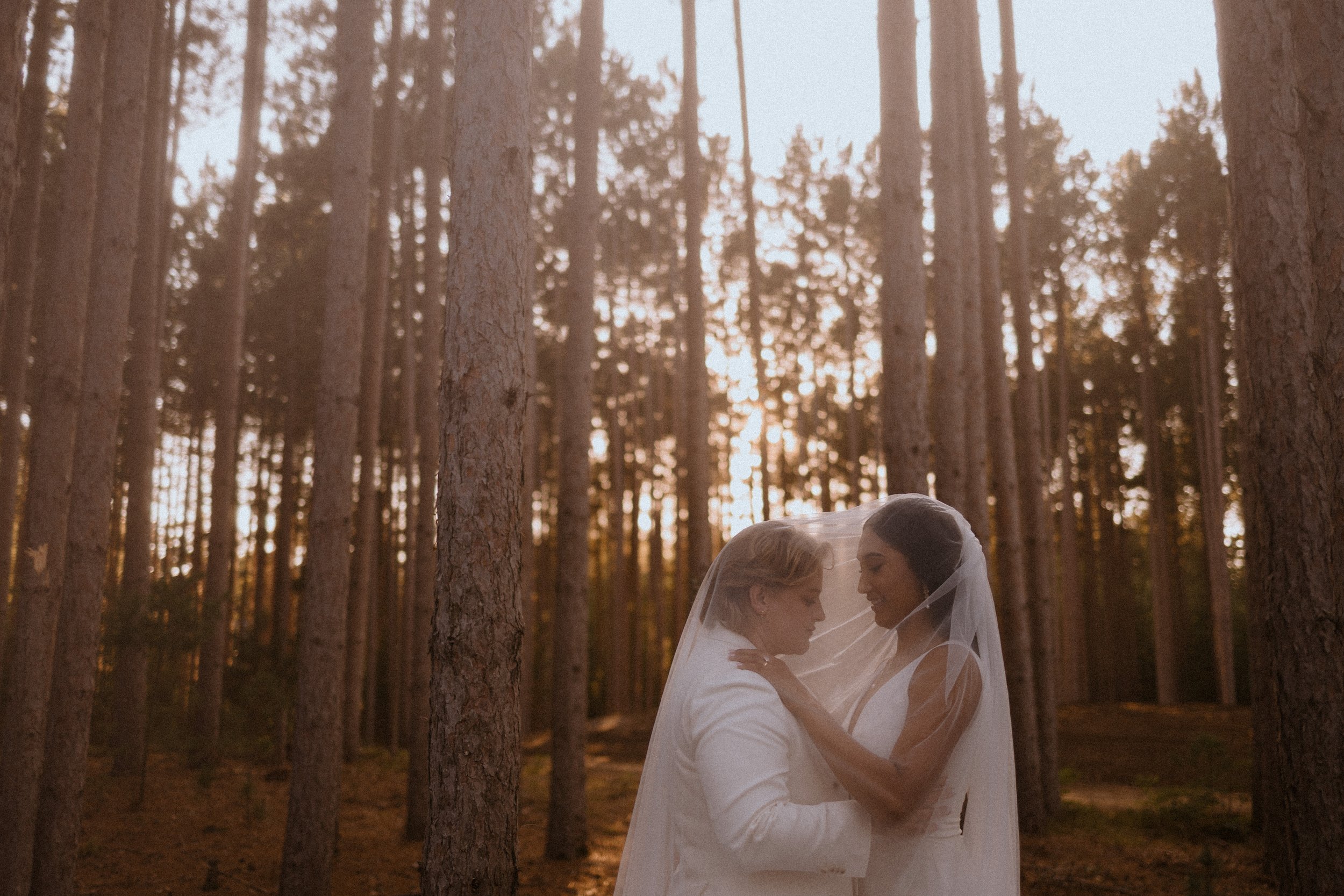 alentzphoto-540.jpg