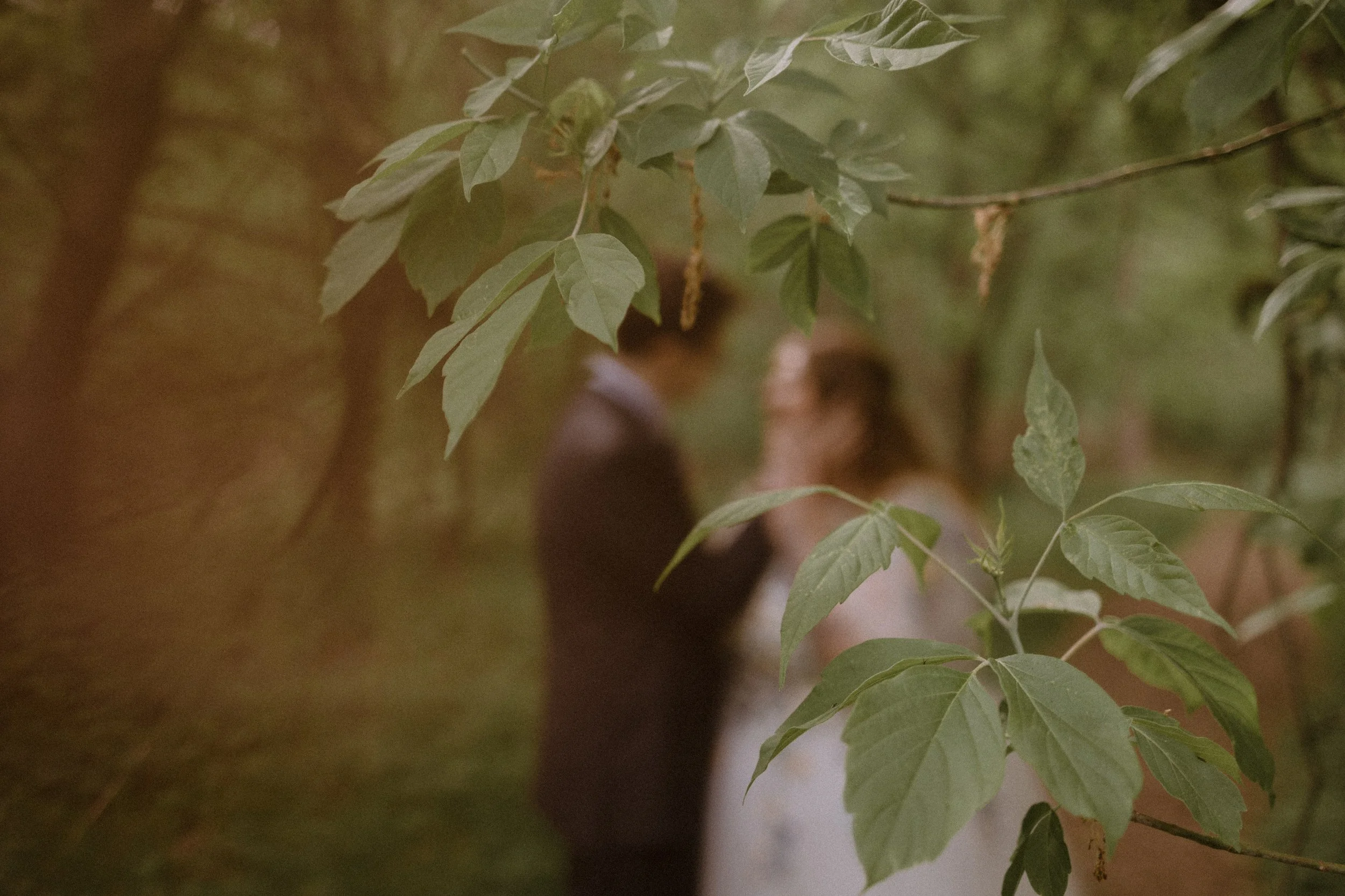 alentzphoto-288.jpg