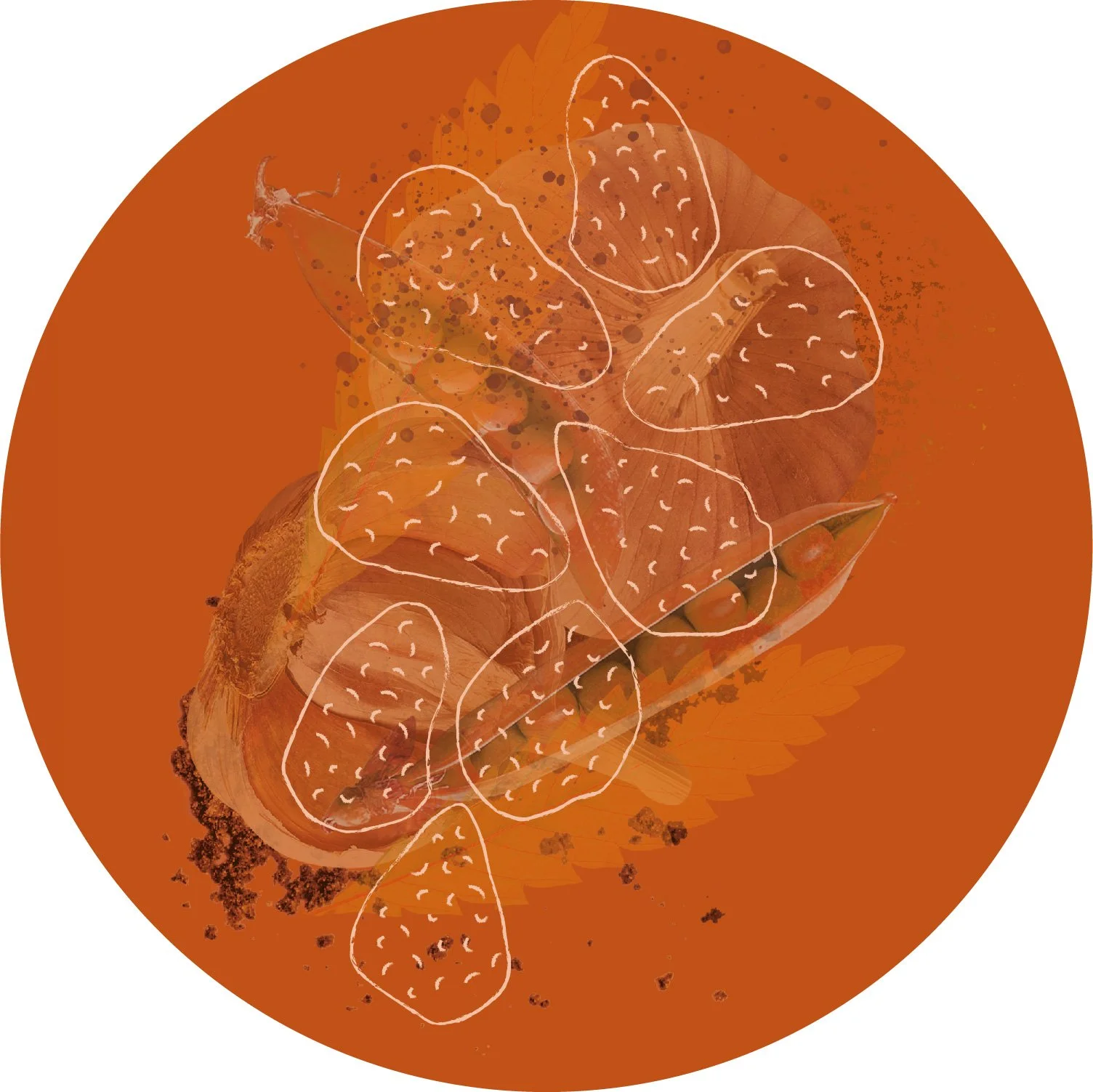 Plant-Based Mixes-02.jpg