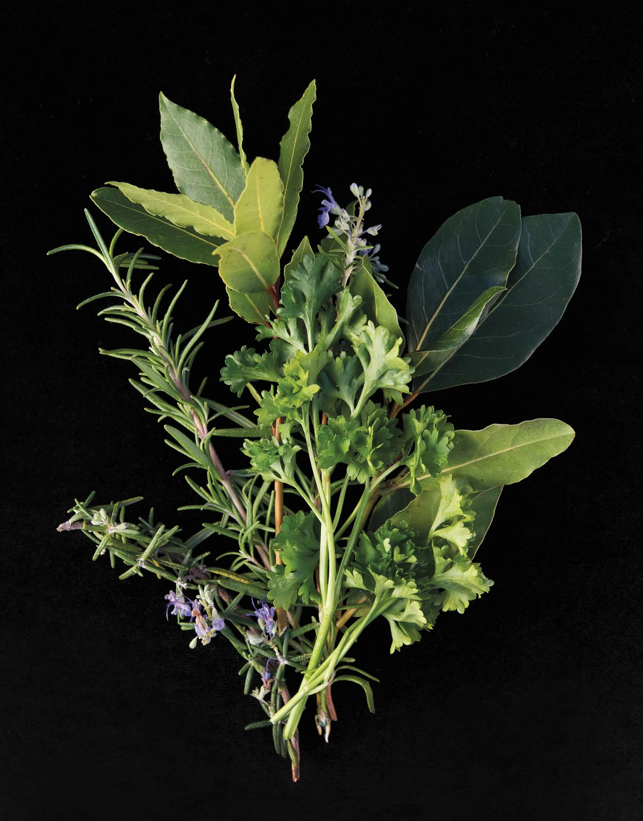 Herb2