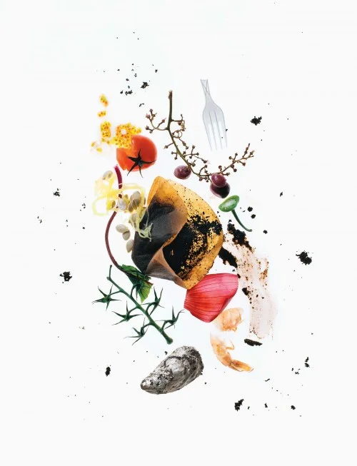 Compost-3-500x653.jpg