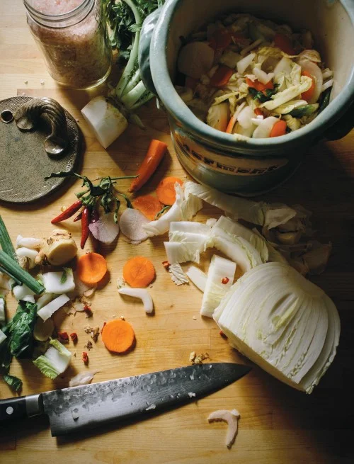 Fermentation-500x655.jpg