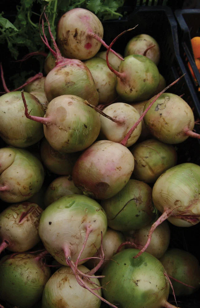 Notes from a CSA: Mass Audubon’s Drumlin Farm