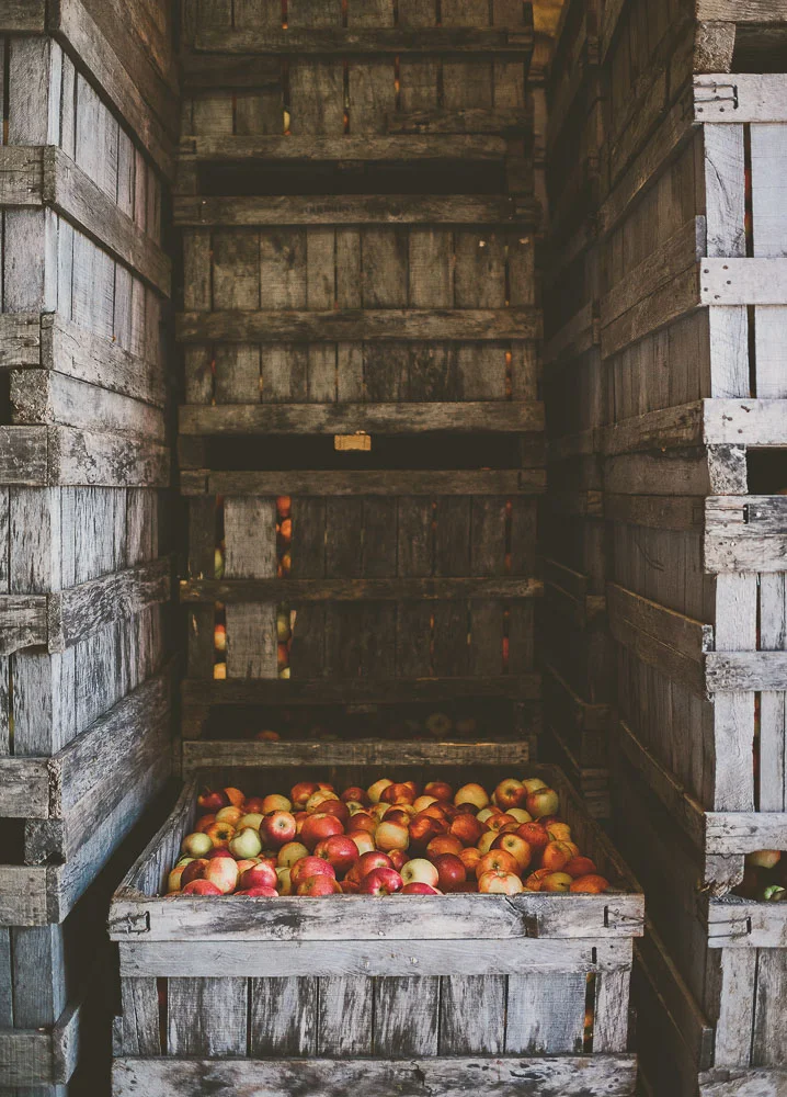 Lookout Farm Moves From Apples To Hard Cider