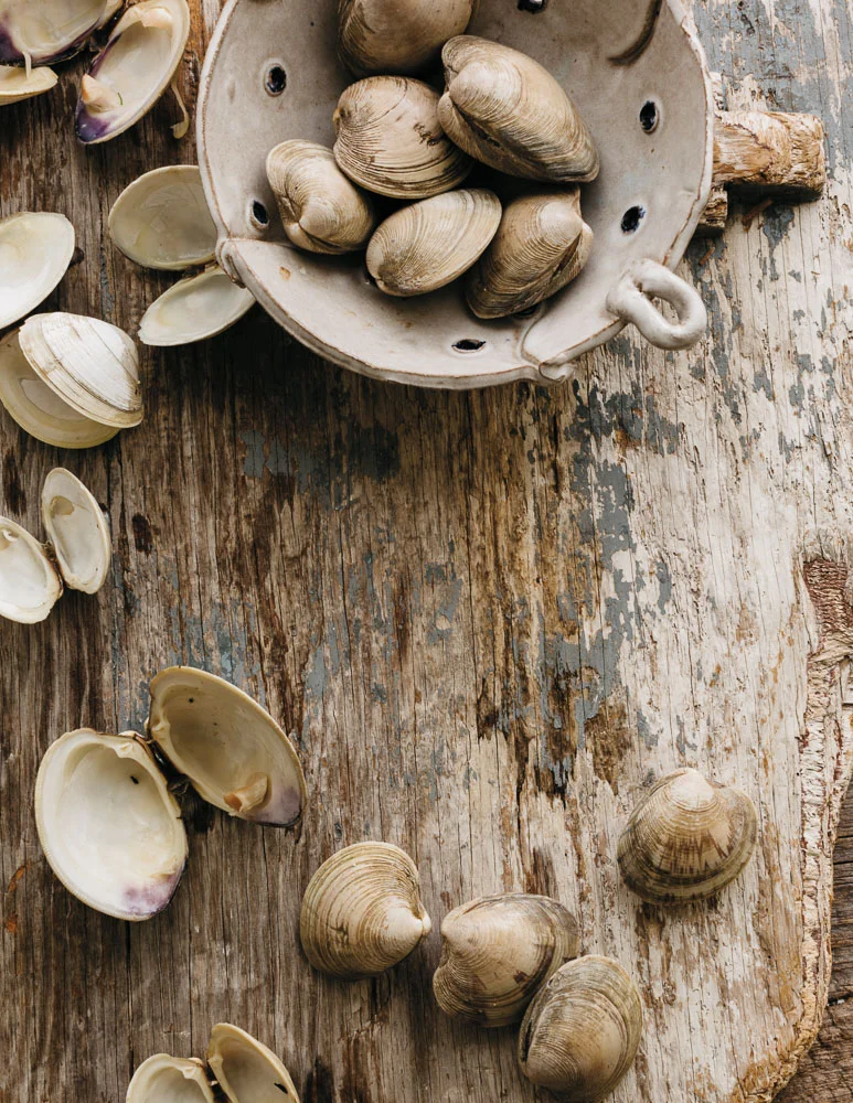 Clams, Both Chowdered and Stuffed 