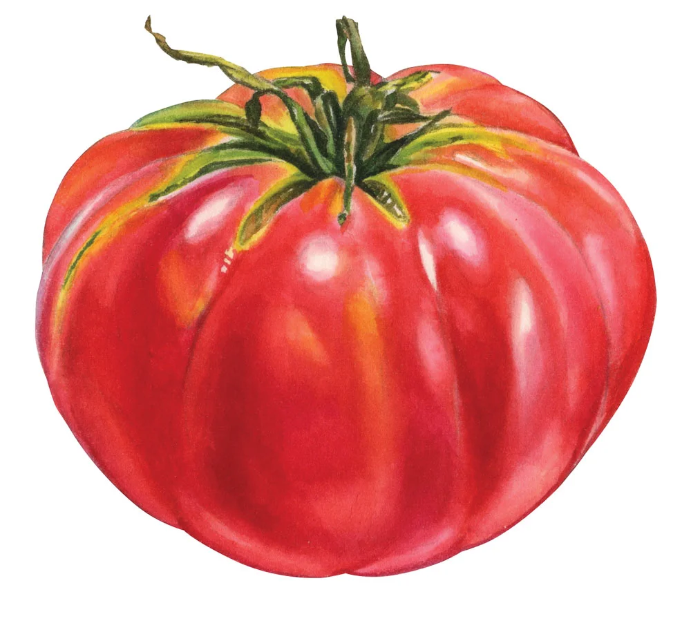 What’s In Season Now: Tomatoes
