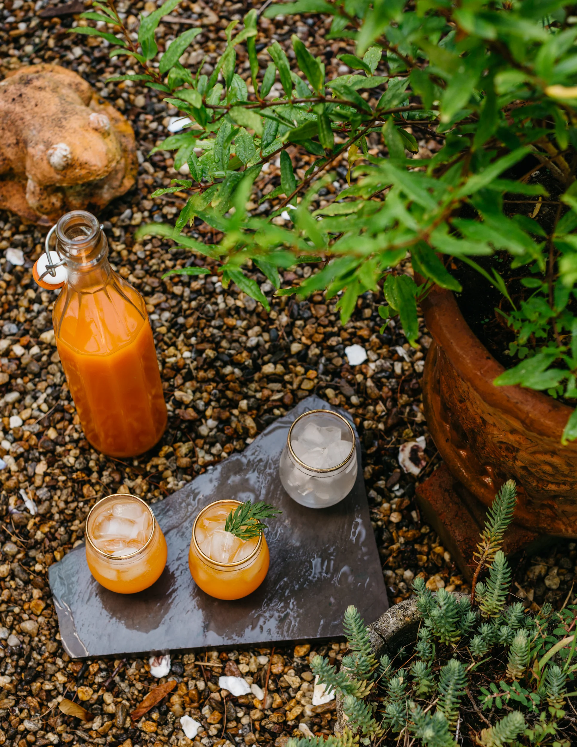 Garden Brunch 