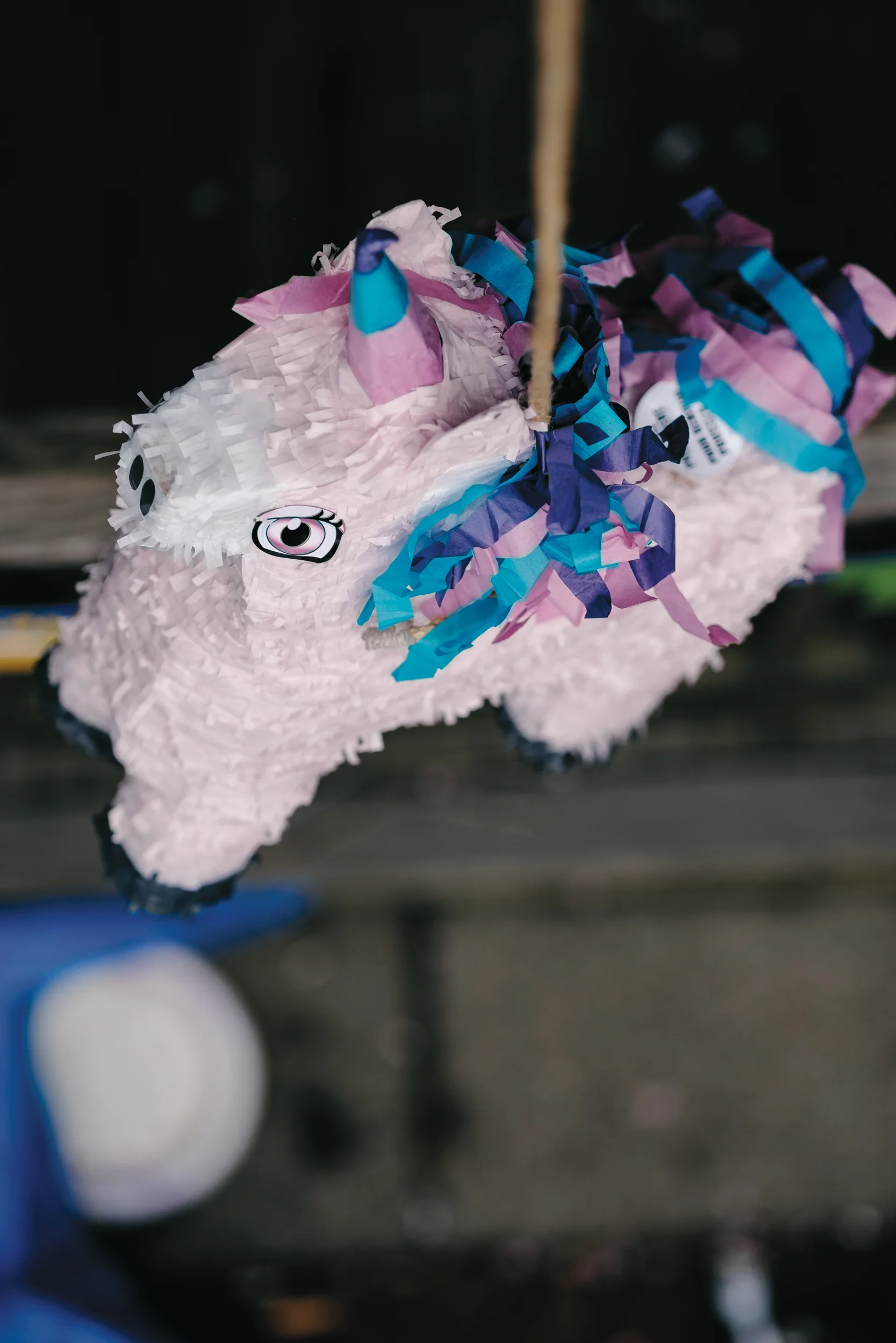 20170506_pigroast_edible_0449_WEB.jpg