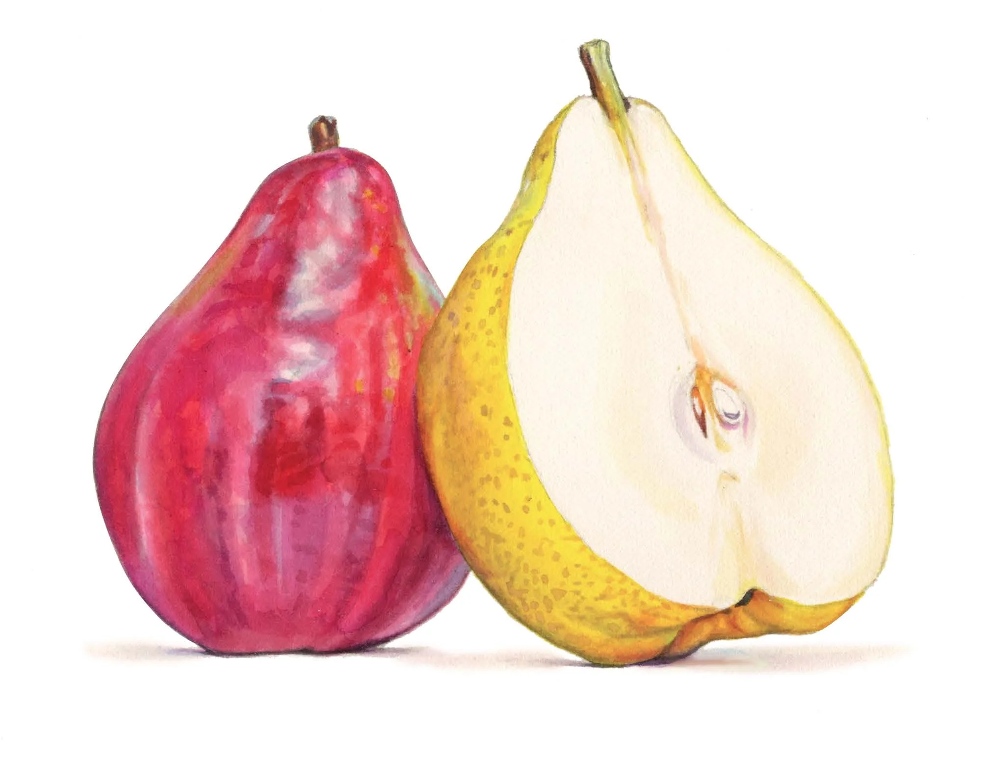 What's In Season: Pears