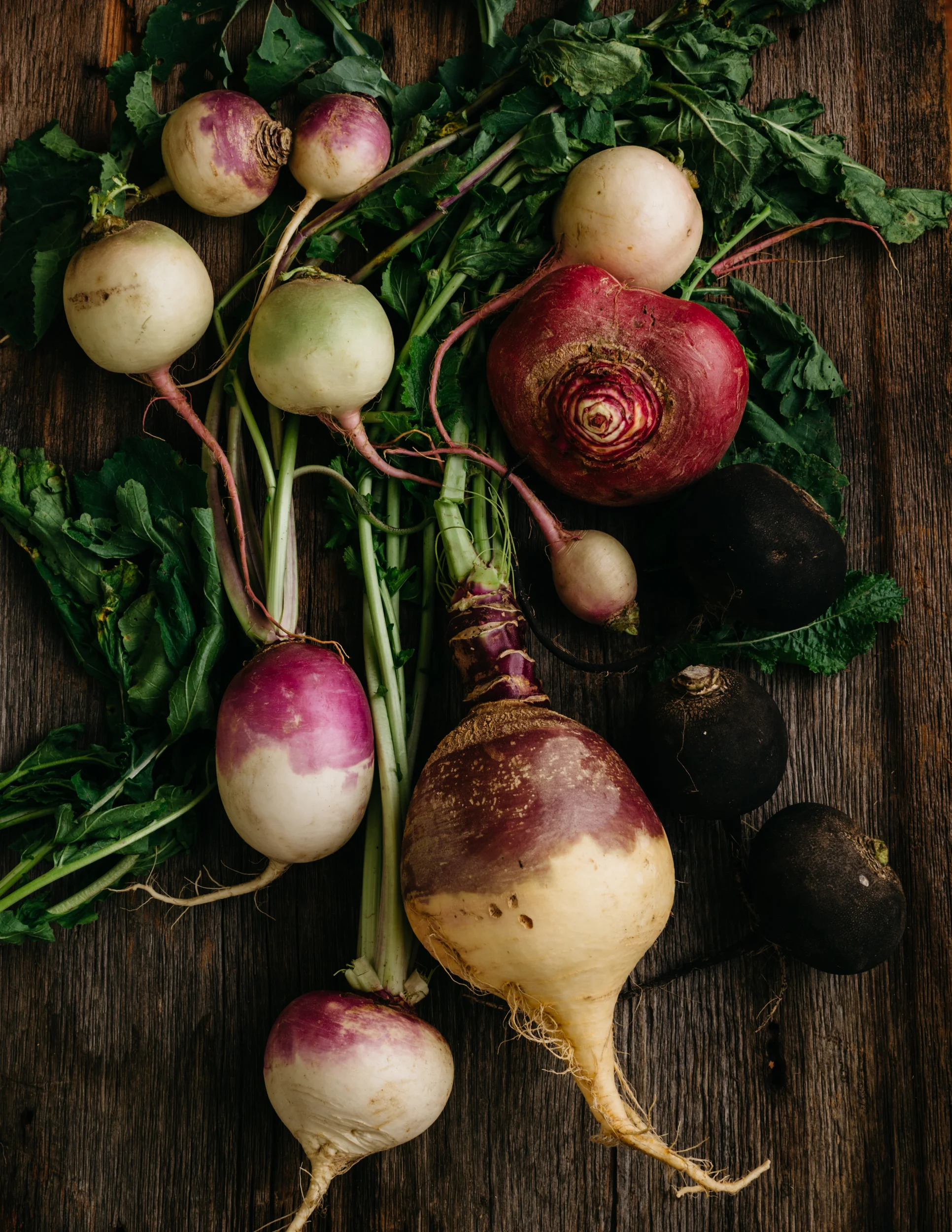 What's In Season: Turnips, Radishes and Rutabaga
