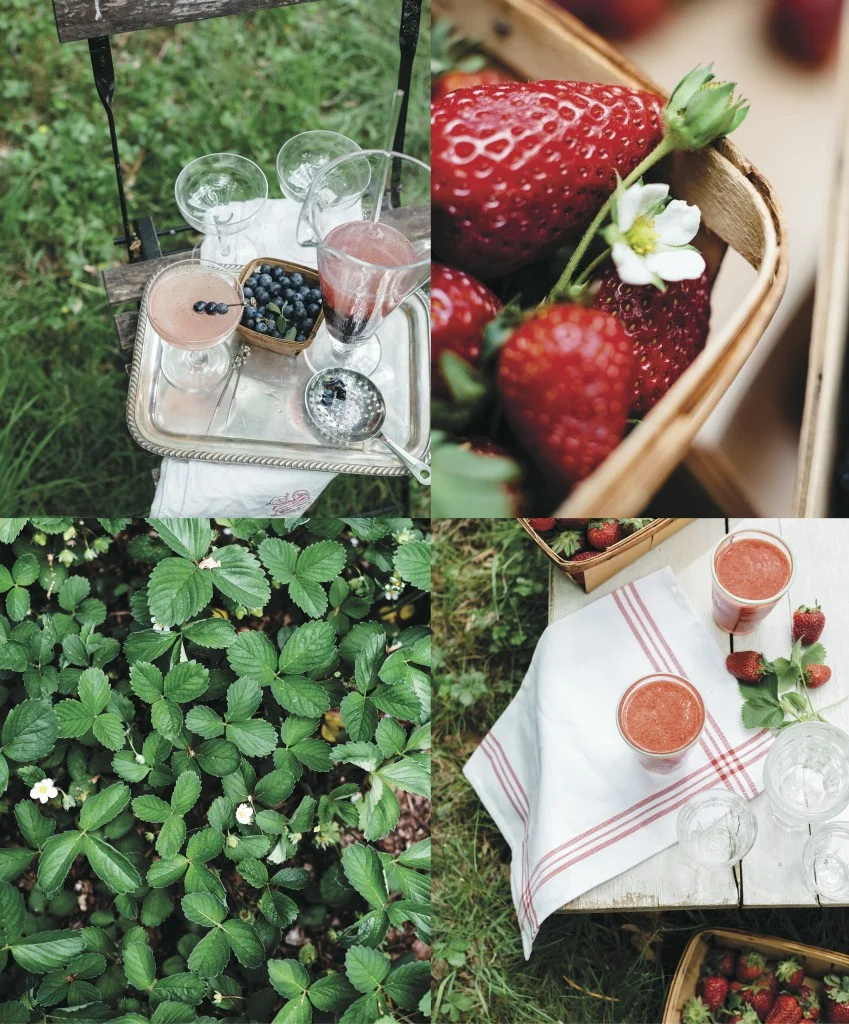 One Ingredient: Summer Berries