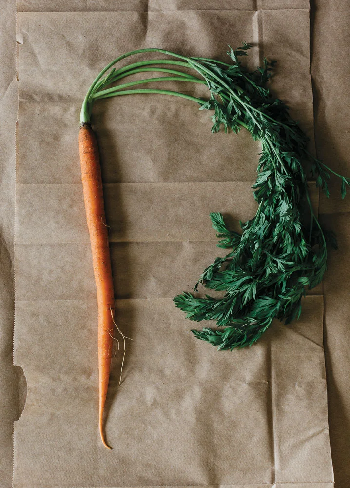 One Ingredient: Carrots