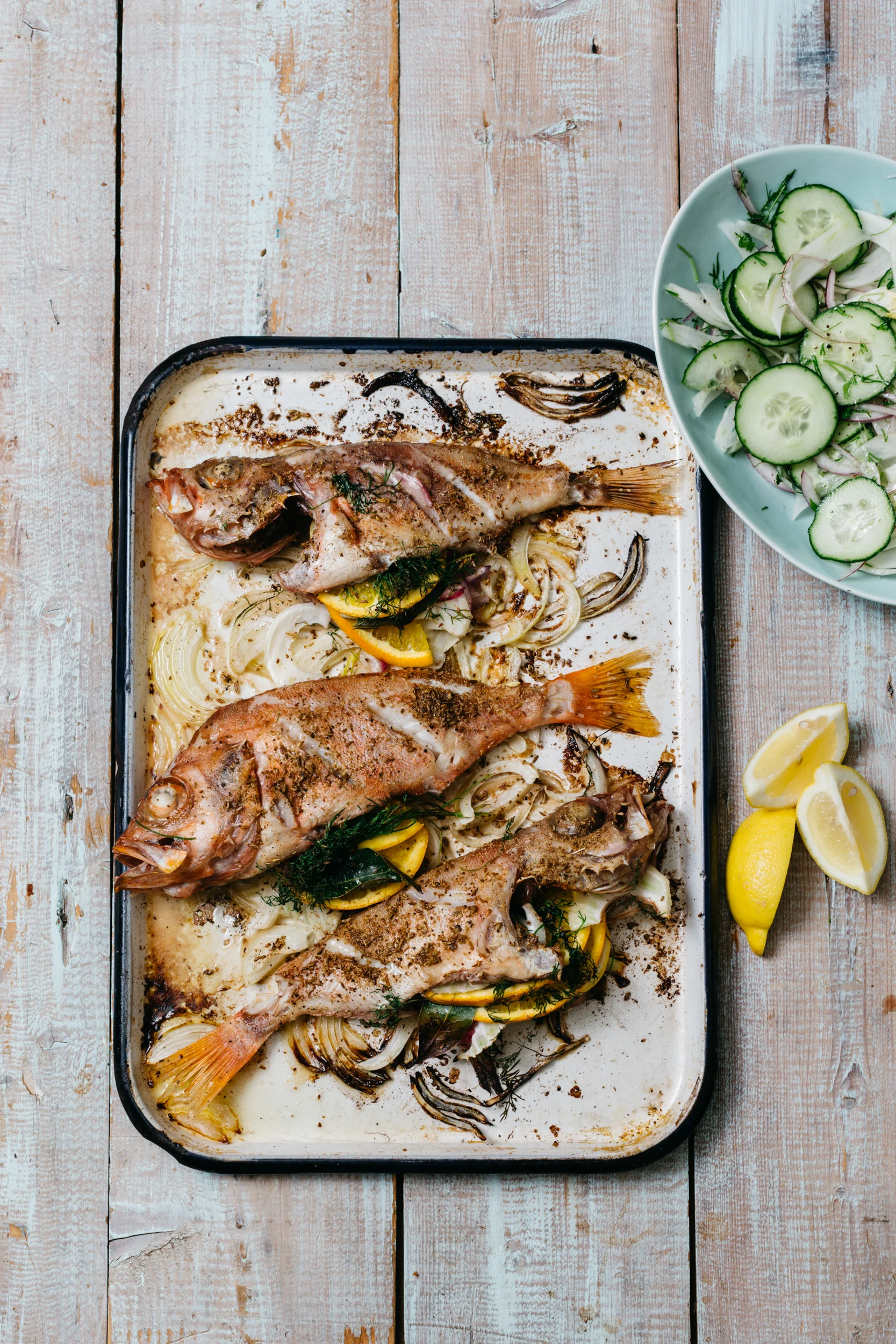 Fennel and Citrus Roasted Redfish with Dilled Cucumber-Fennel Salad 