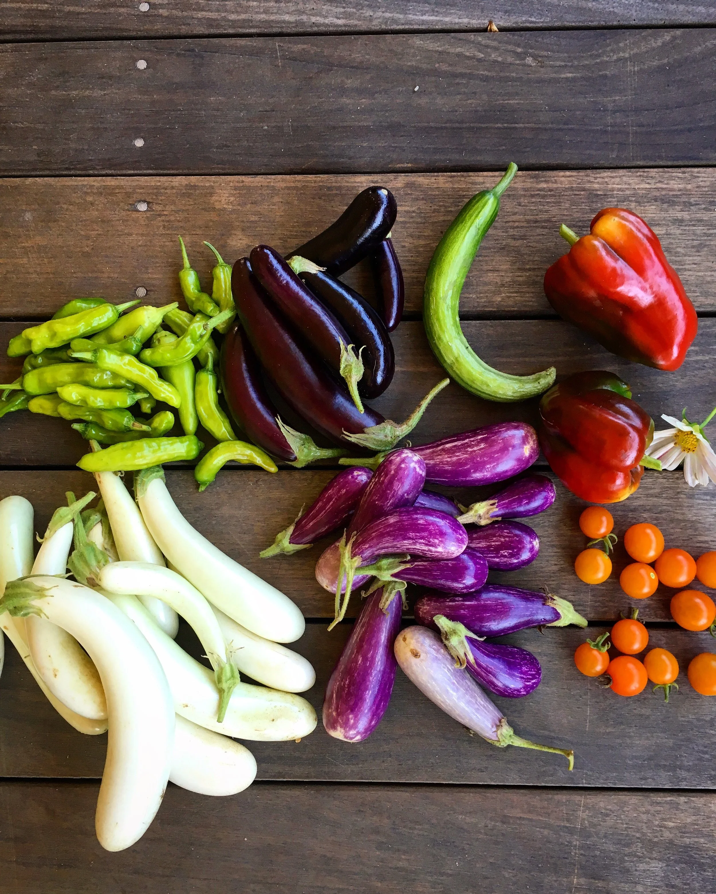 One Ingredient: Eggplant