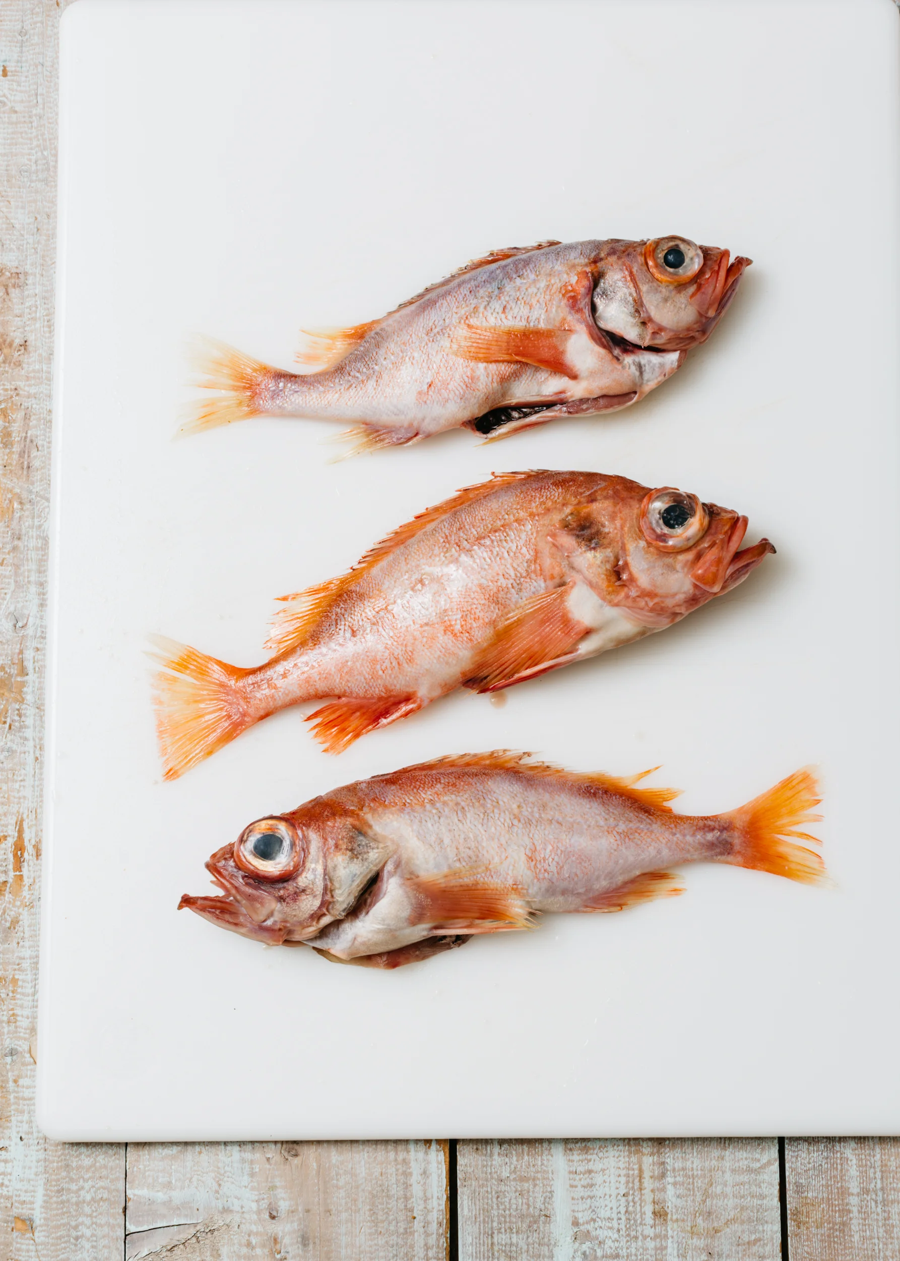 Edible Basics: Red Fish, Blue Fish, Flat Fish, Whole Fish?
