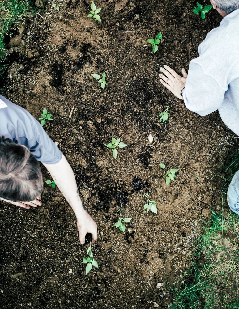 Recovery Is An Outside Job: Dismas Family Farm