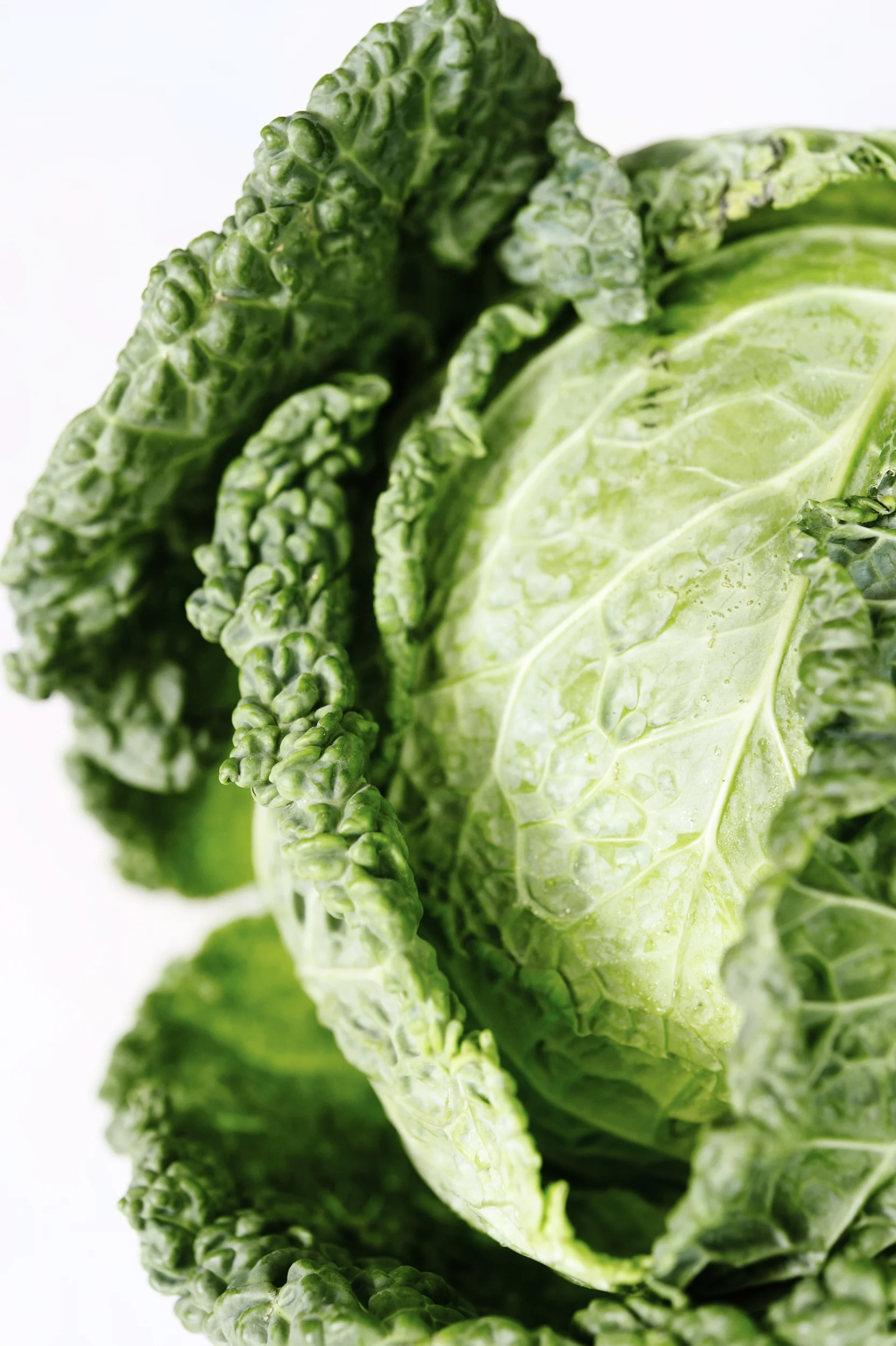 What's In Season: Savoy Cabbage