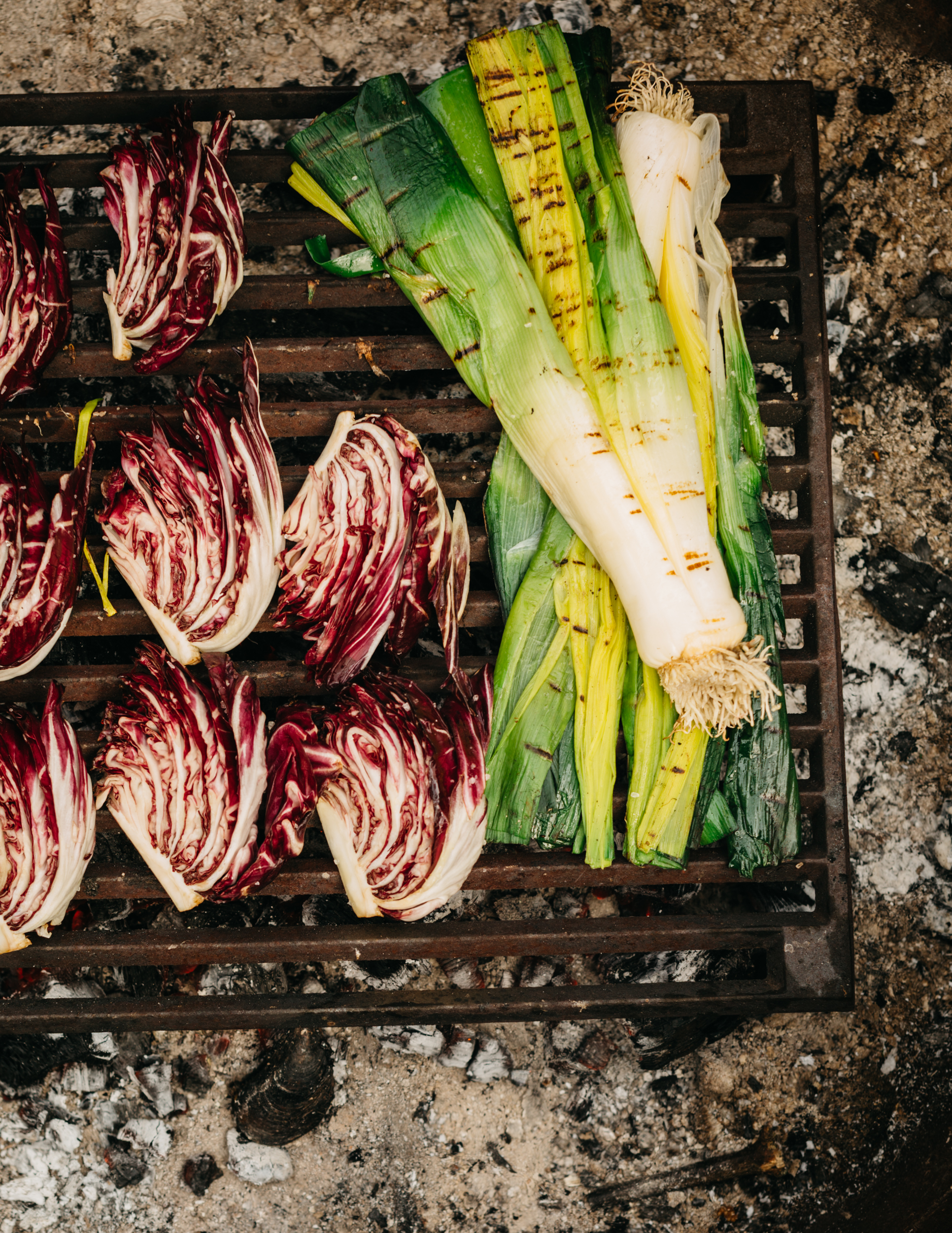 Radicchio-Leek Salad with Anchovy Vinaigrette