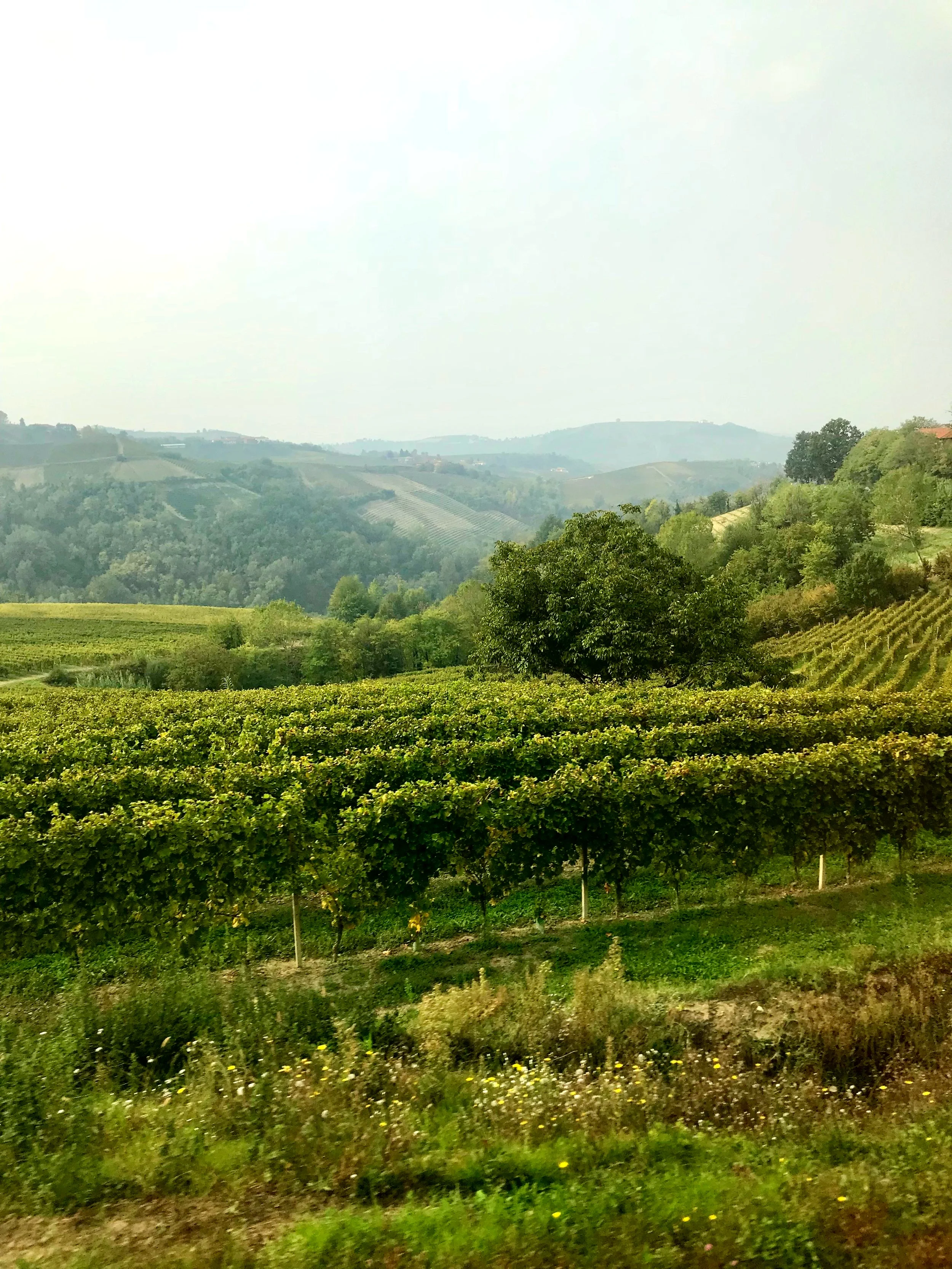 Edible Went On Tour, Trip 1: Northern Italy in October